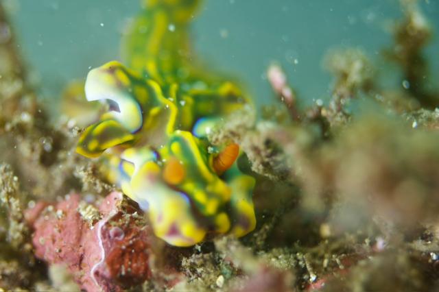 今日はビーチと江の浦へ！