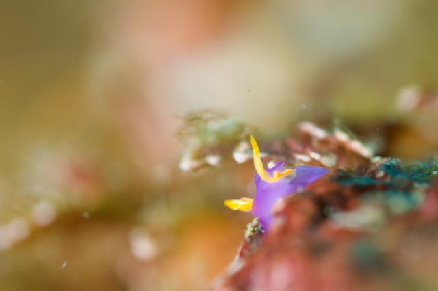 今日はビーチと江の浦へ！
