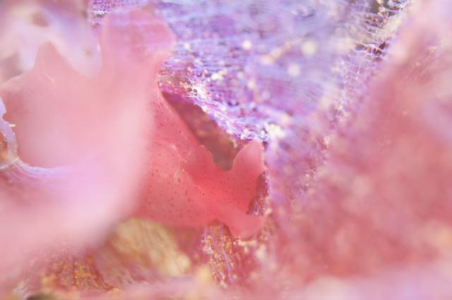 今日はビーチと江の浦へ！