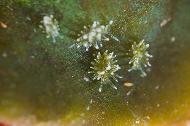 今日はビーチと江の浦へ！