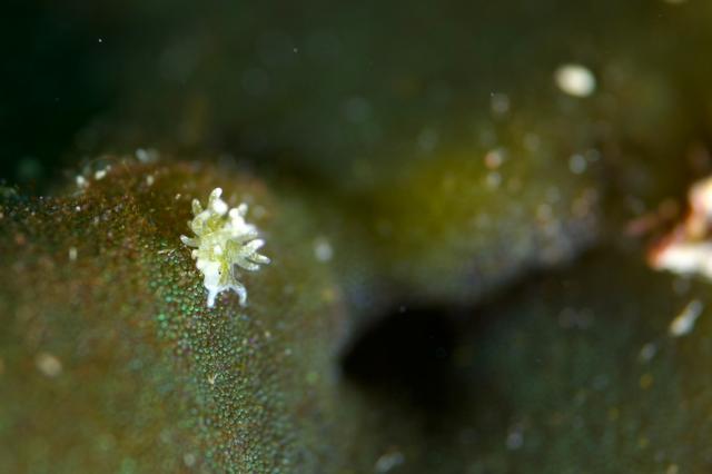 今日はビーチと江の浦へ！