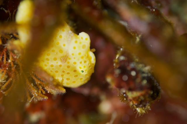 今日はビーチと江の浦へ！