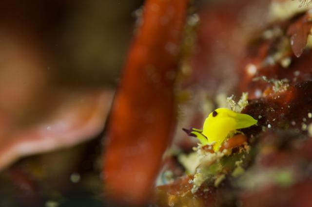 今日はビーチと江の浦へ！