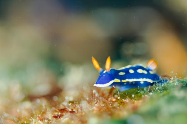 今日はビーチと江の浦へ！