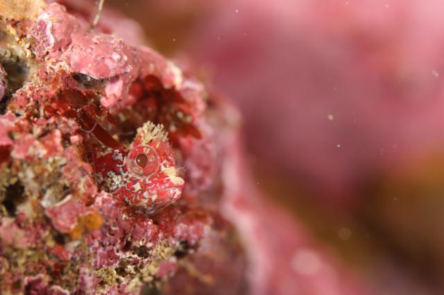 毛嵐…ボートクローズ、ビーチへ！