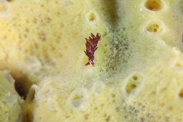 毛嵐…ボートクローズ、ビーチへ！