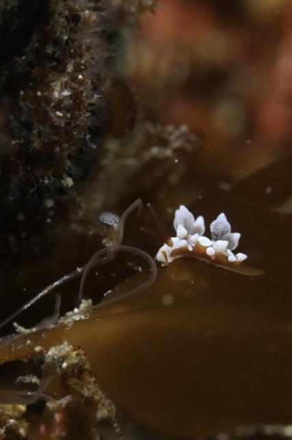 毛嵐…ボートクローズ、ビーチへ！