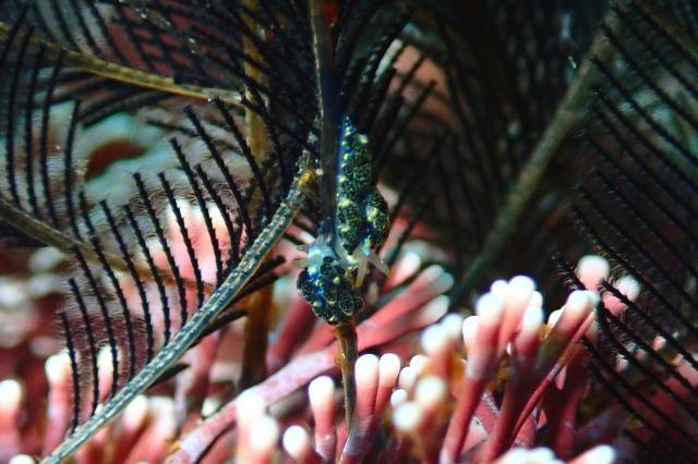 毛嵐…ボートクローズ、ビーチへ！