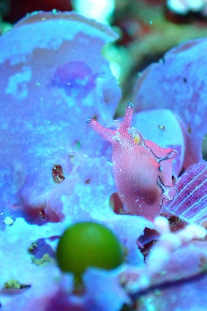 毛嵐…ボートクローズ、ビーチへ！