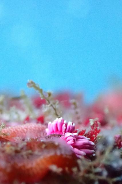 毛嵐…ボートクローズ、ビーチへ！