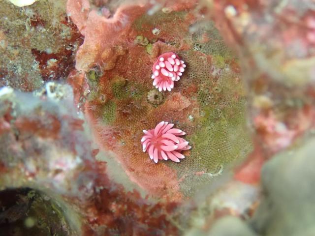 毛嵐…ボートクローズ、ビーチへ！