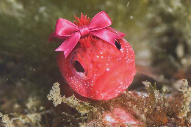 ゆらゆら〜！！！