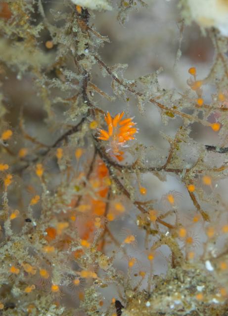 めっちゃ揺れてました〜笑