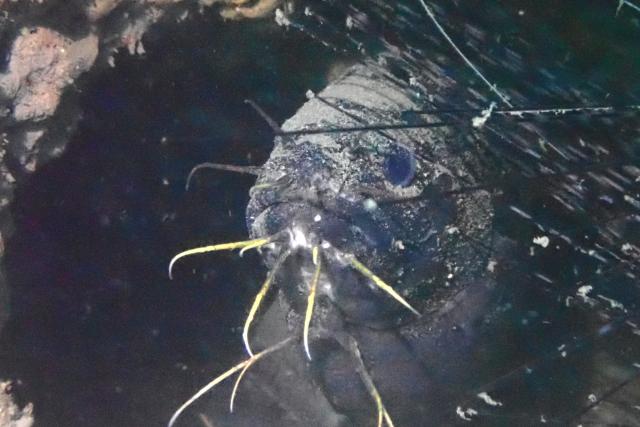 めっちゃ揺れてました〜笑