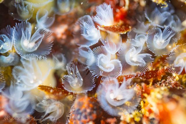 めっちゃ揺れてました〜笑