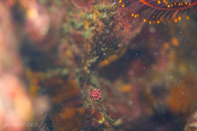 めっちゃ揺れてました〜笑