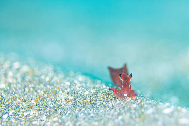 また！さむーい⛄️