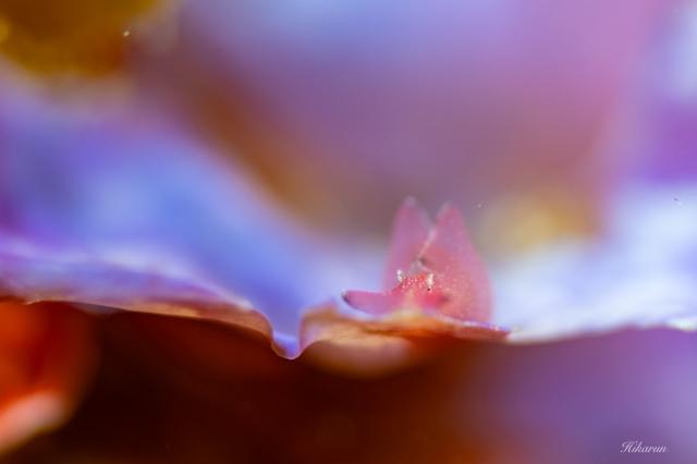 南風が吹いてくる前に〜