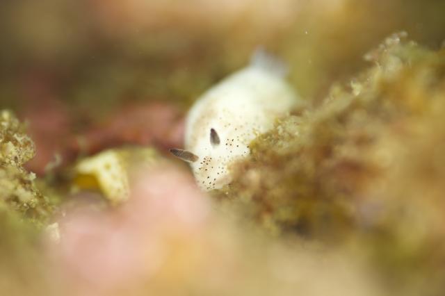 久しぶりの三浦はお水が冷たかった・・・