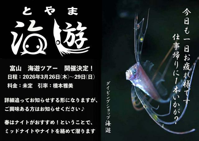 ３００本記念ダイビングは江の浦へ