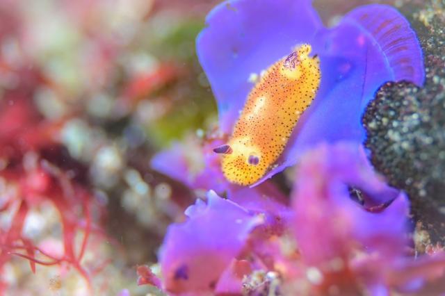 なんか荒れてきたなぁ〜。。。