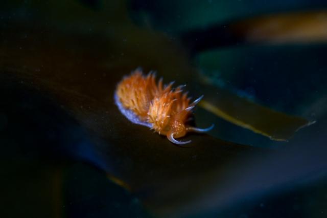 なんか荒れてきたなぁ〜。。。