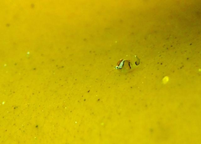 なんか荒れてきたなぁ〜。。。