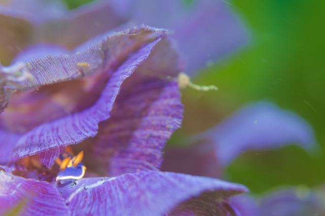 今日もウネリでしたね🌊