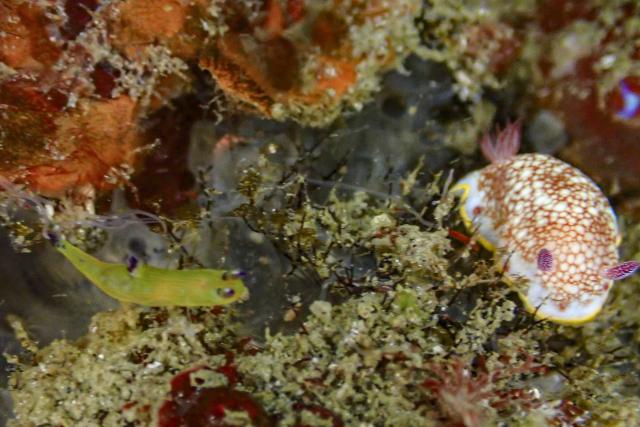 春濁り真っ盛り