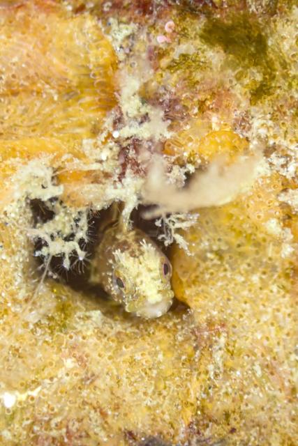 春濁り真っ盛り