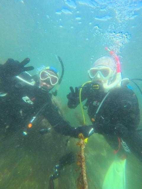 春濁り真っ盛り