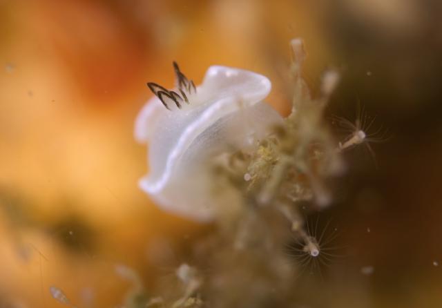 清水さん３００本おめでとうございます