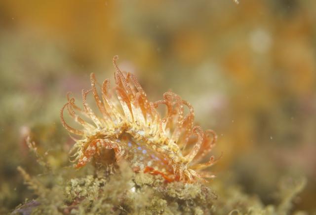 清水さん３００本おめでとうございます