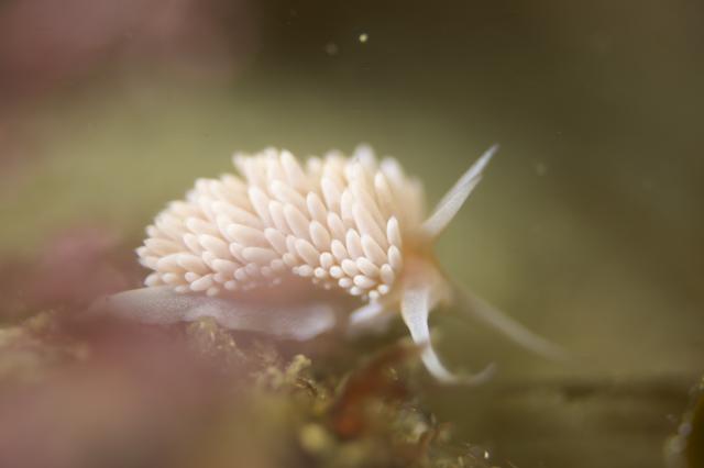 清水さん３００本おめでとうございます