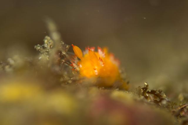 清水さん３００本おめでとうございます