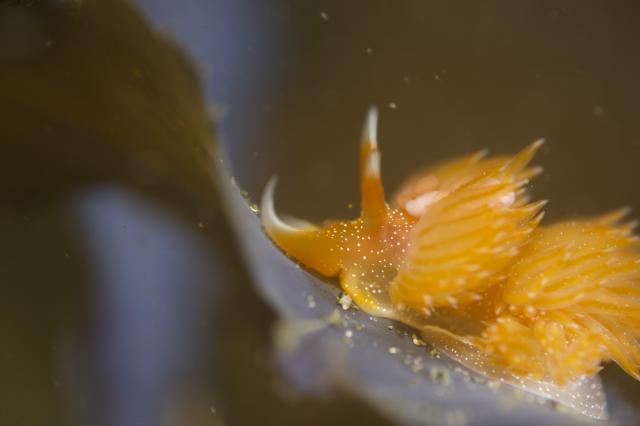 清水さん３００本おめでとうございます