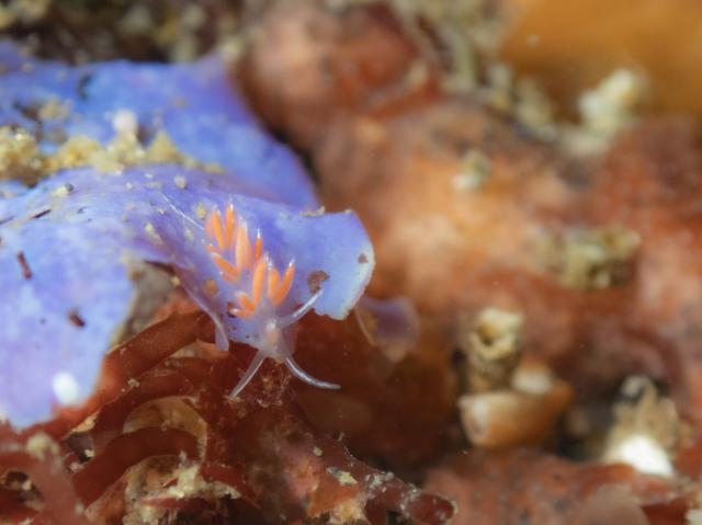 朝から🌧️雨…