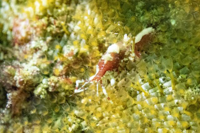 朝から🌧️雨…