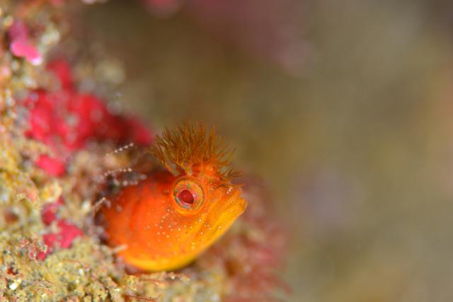 朝から🌧️雨…