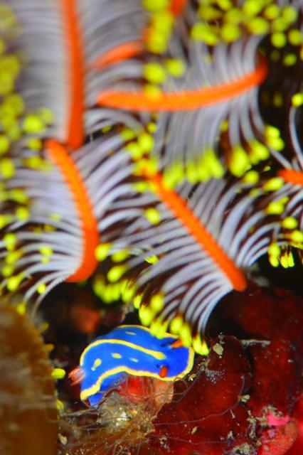 朝から🌧️雨…
