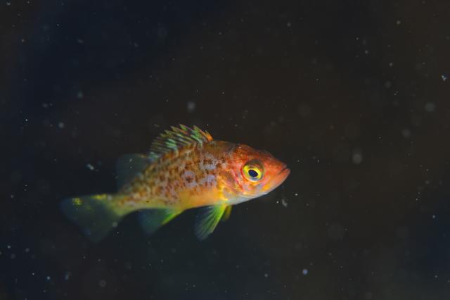 朝から🌧️雨…