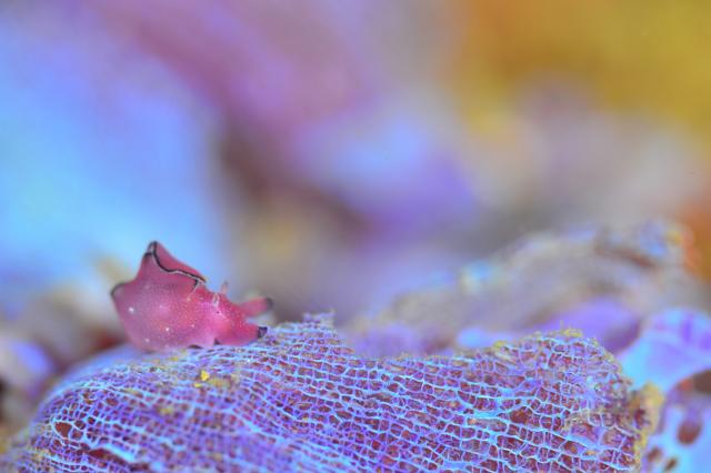 朝から🌧️雨…