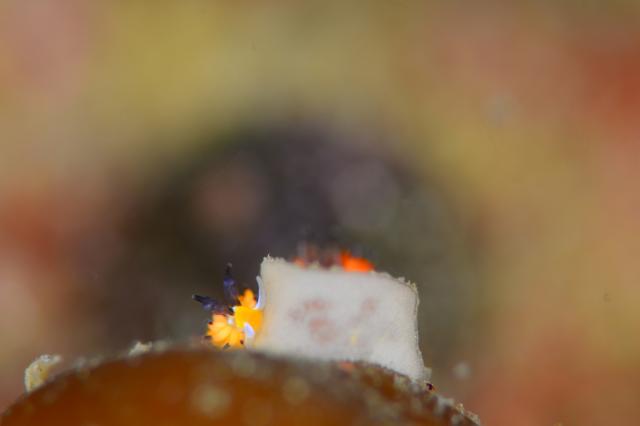 朝から🌧️雨…