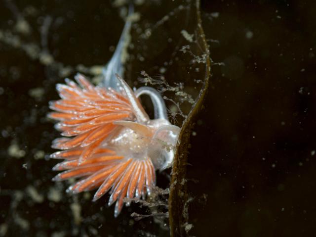 朝から🌧️雨…