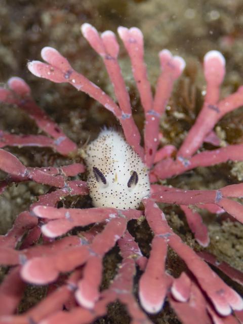 朝から🌧️雨…