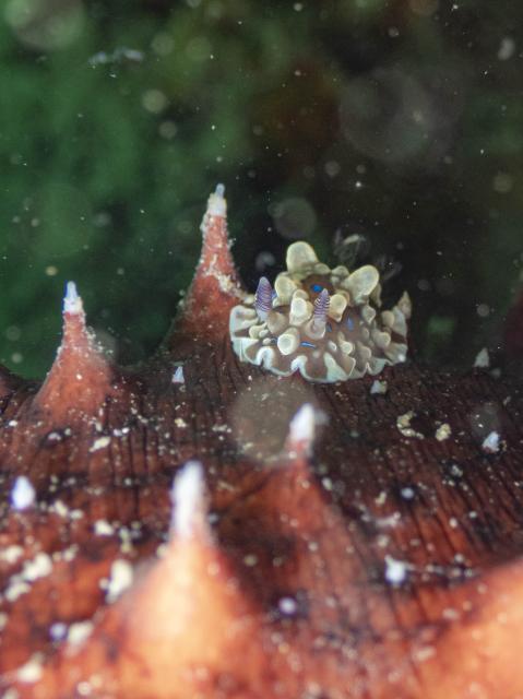 朝から🌧️雨…