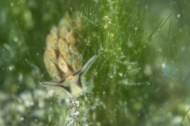 みんなで城ヶ島へ