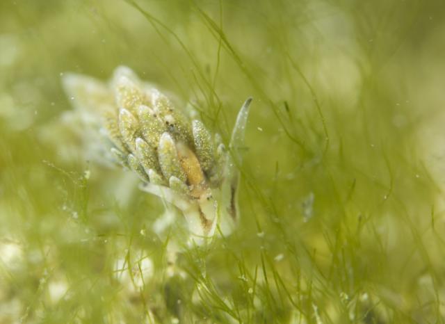 みんなで城ヶ島へ