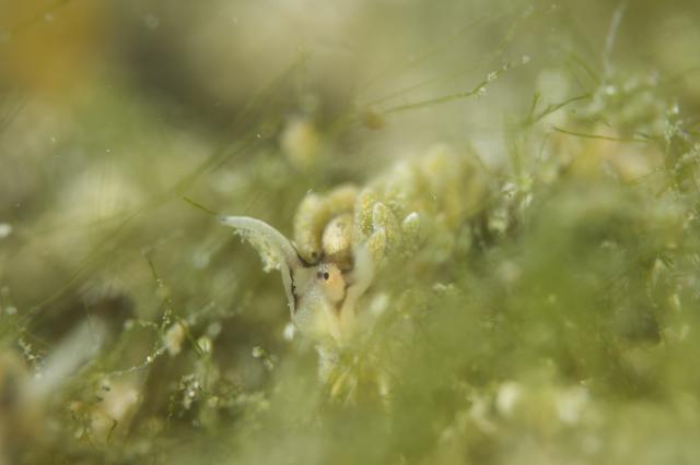 みんなで城ヶ島へ