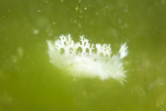 みんなで城ヶ島へ